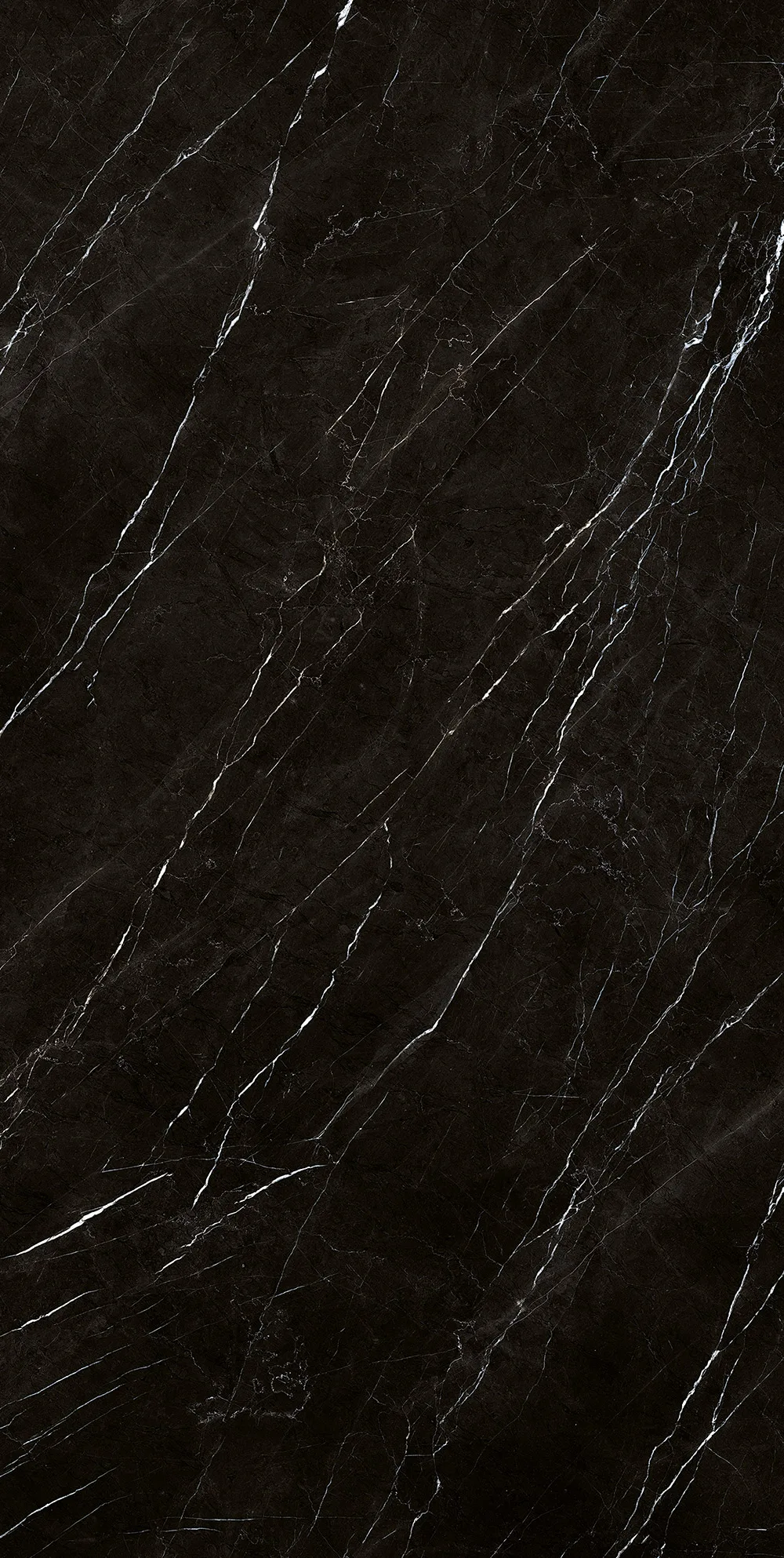NERO MARQUINIA